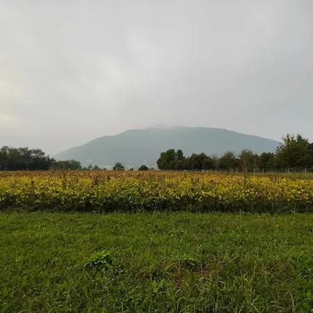 La Dimora *