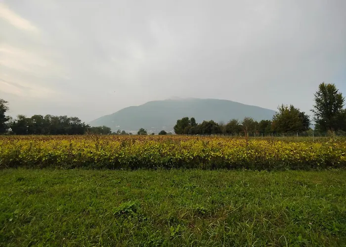 La Dimora *